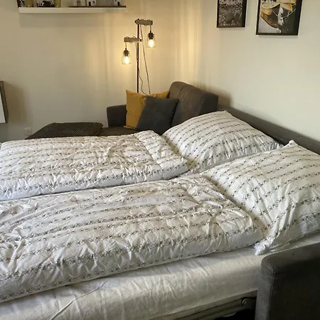 公寓 Dahmer Duenen - Kuestenliebe